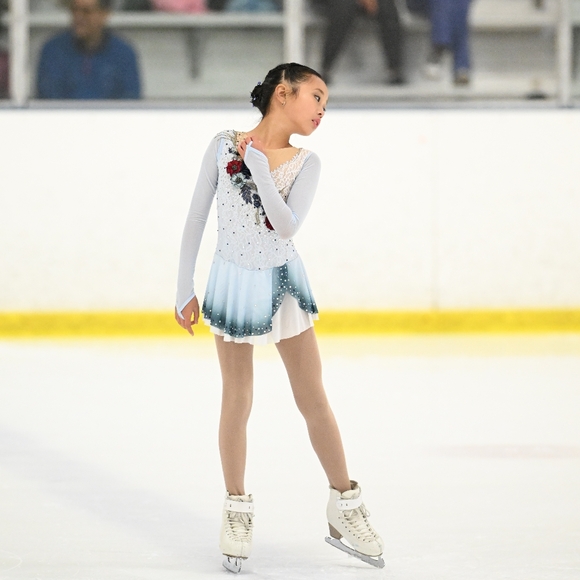 Custom Made Figure Skating Dress - Picture 4 of 4